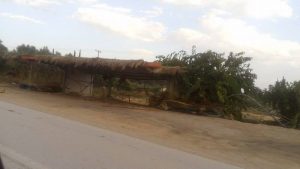 14302973_10208391780526856_651655199_n