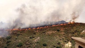 14424029_1084642701616765_913744637_o