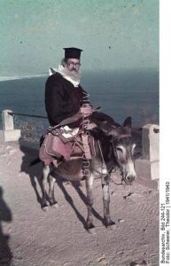 15171063_1278837748805276_5387772484063703789_n