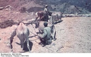 15317830_1278837872138597_8960855753882898860_n