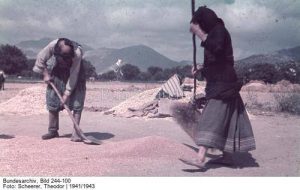 15317951_1278837838805267_6464681848016072341_n