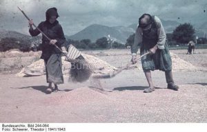 15319063_1278837822138602_8814577672628411206_n