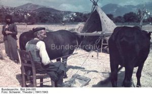 15326351_1278837832138601_18763636667492845_n