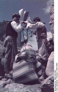 15326422_1278837958805255_4778834865525736712_n