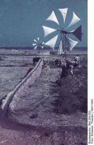 15349695_1278837878805263_5260031101488030279_n